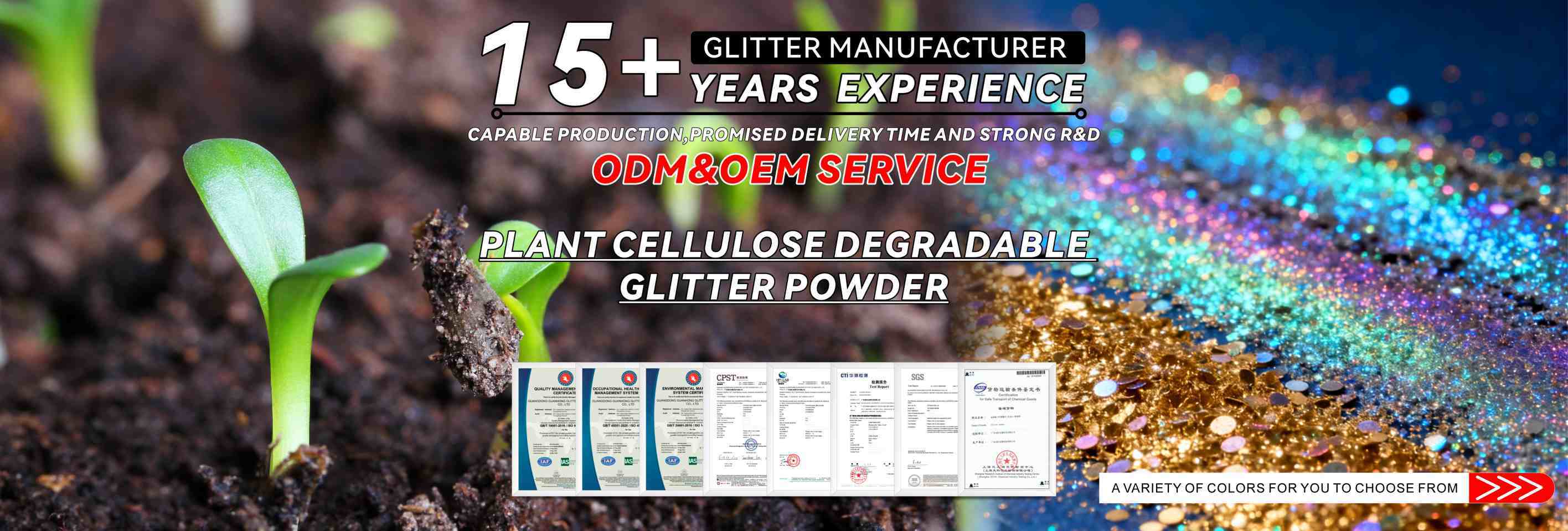 qualité Glitter biodégradable usine