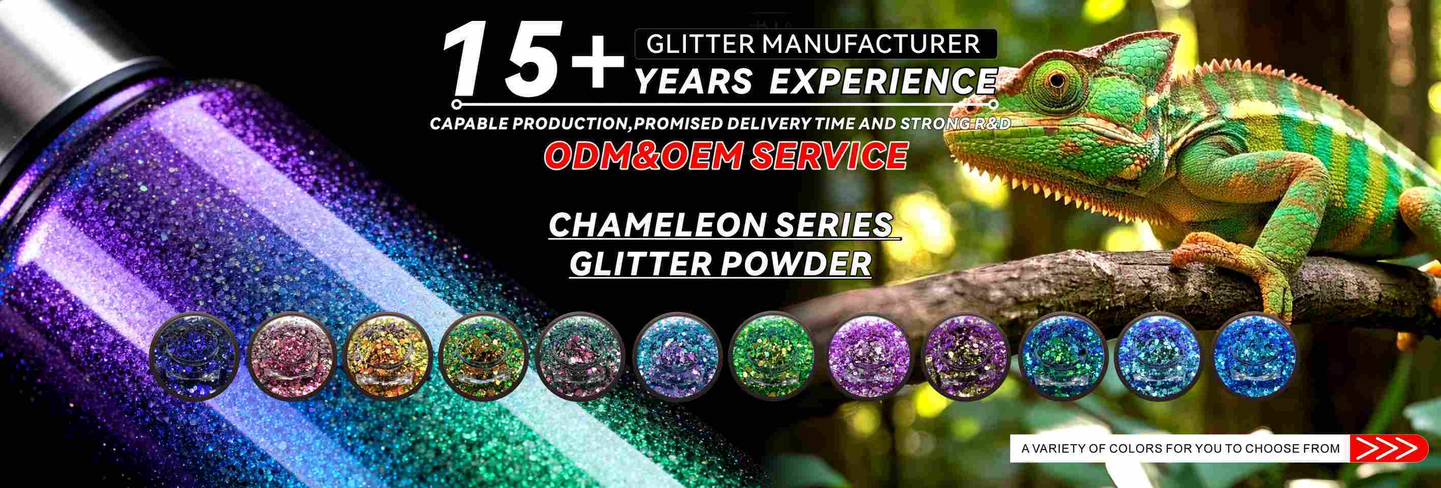 qualité Glitter biodégradable usine